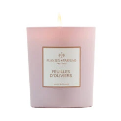 Bougie Végétale Feuilles D'Oliviers 180g