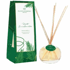 Bouquet Parfumé Forêt Enchantée