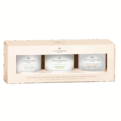 Coffret Découverte : Fleur De Coton, Bambou Blanc, Bois D'Orient