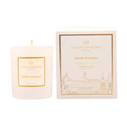 Bougie Végétale Balade Enneigée 180g Sous étui